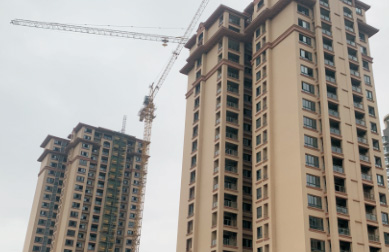 書(shū)馨花(huā)苑 石頭漆 