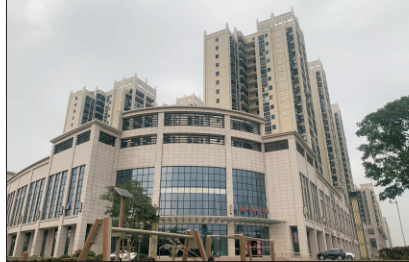 椰海(hǎi)家(jiā)園 石頭漆 